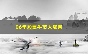 “06年股票牛市大涨因为什么